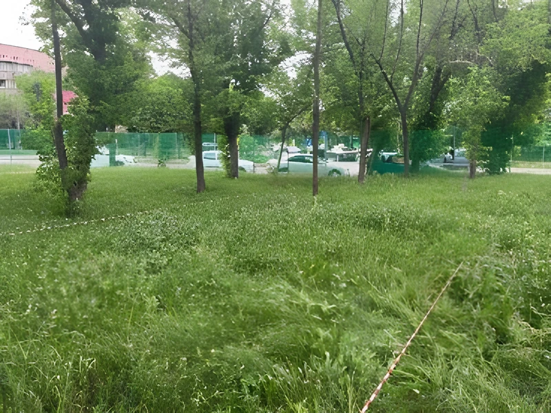 Благоустройство территории Allur Auto. Благоустройство территории · фото 4