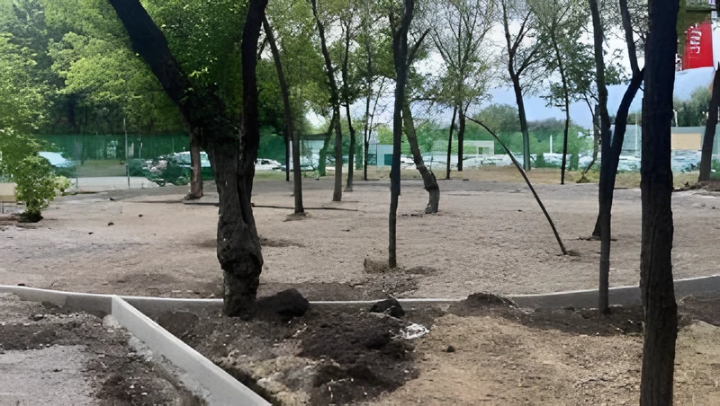 Благоустройство территории Allur Auto. Строительный этап · фото 23